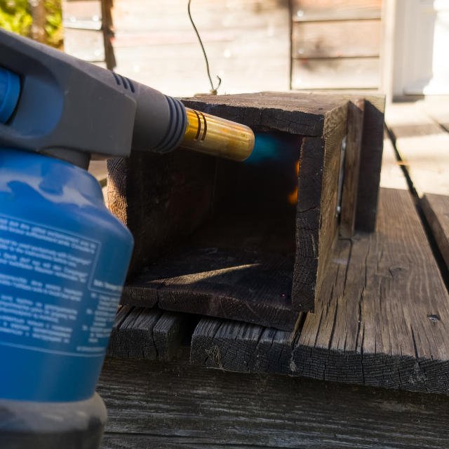 Désinfection du nichoir