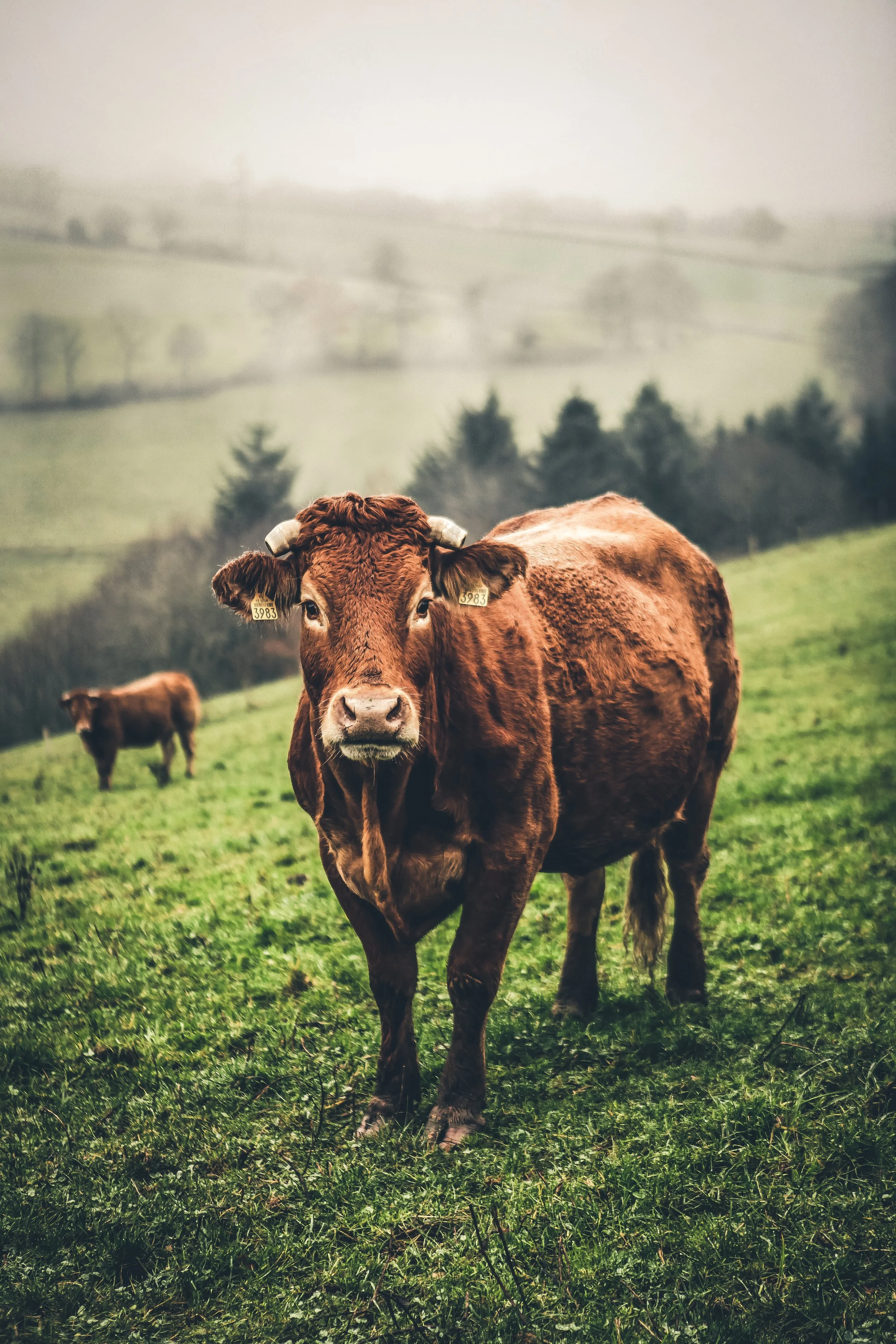 TERROIR ©E.Gentils-17.JPG