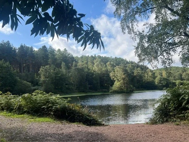 Why Local Matters: Choosing Direct Cremation with A.J. Sellman