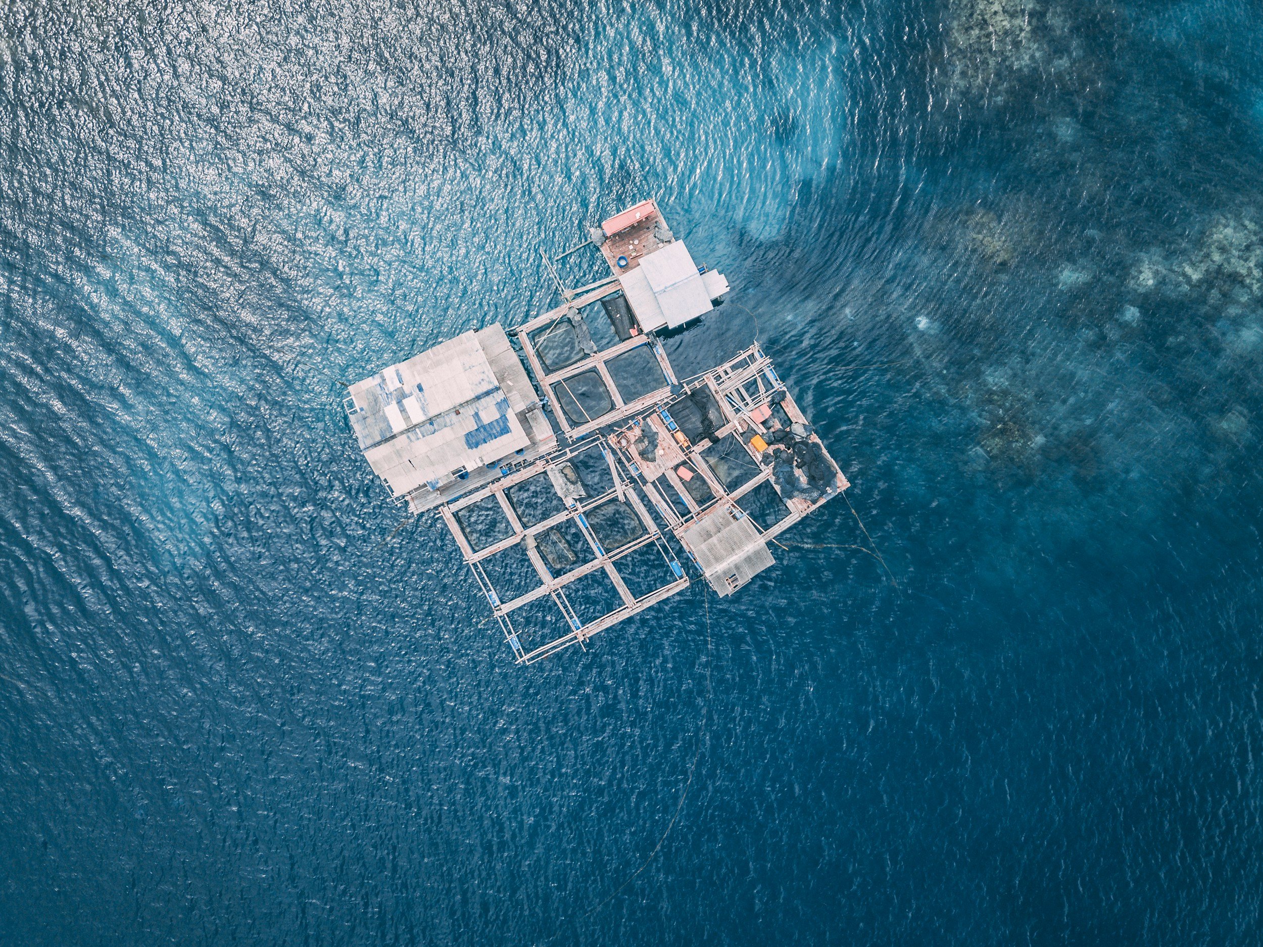 The marine tech startup taking a dive into aquaculture (The Fish Site)