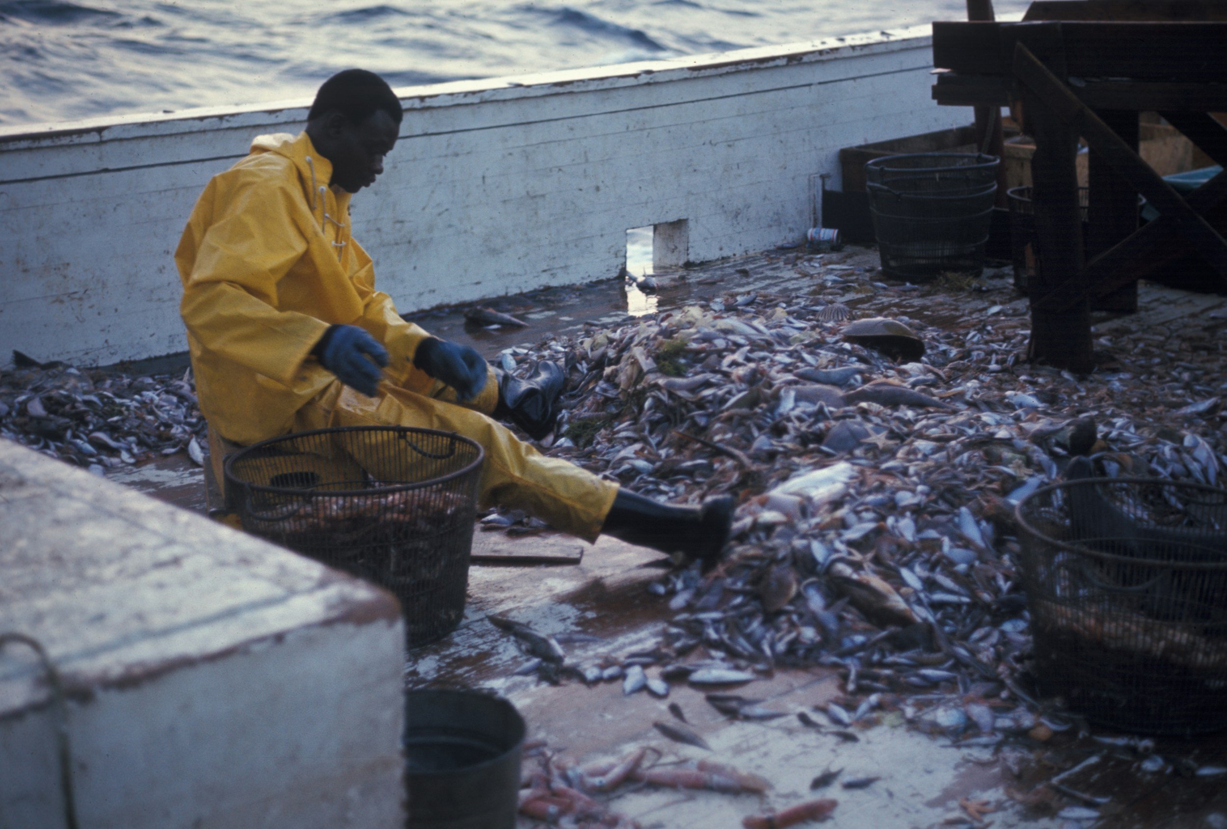 AI transforms fisheries with stocking, processing, and profit boosts (National Fisherman)