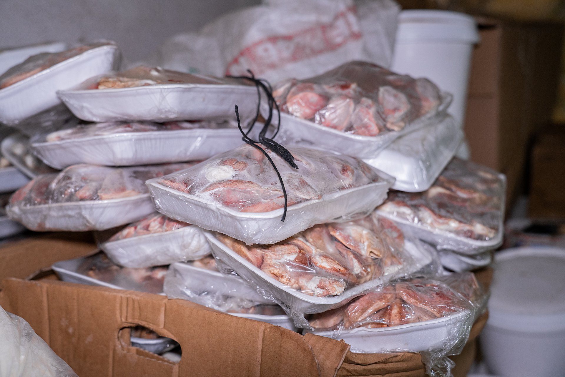 Fortifi Using Artificial Intelligence to Streamline Meat Processing (Powder & Bulk Solids)