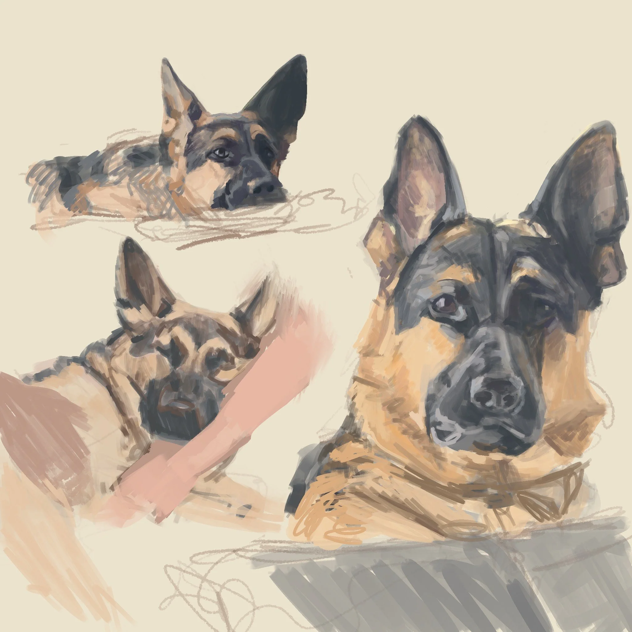 Sketches