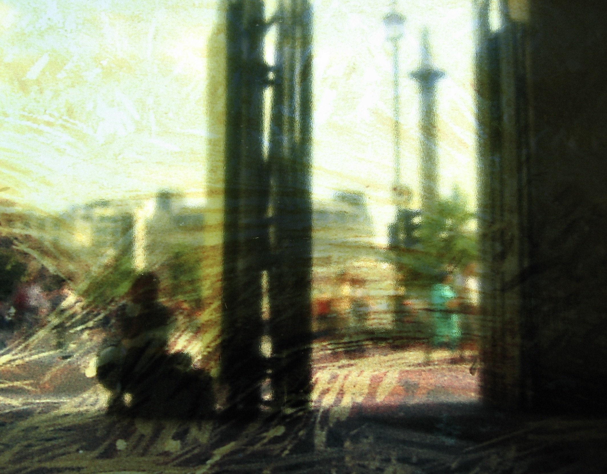 IMG_956.jpeg