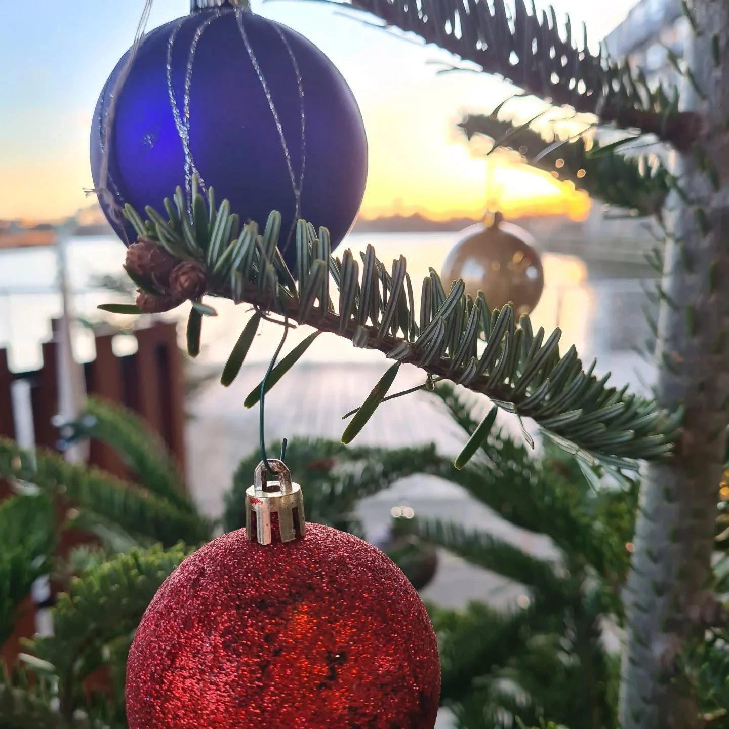 Happy Advent! 🌟 It's a beautiful festive sunrise on the Church Ship and we're ready to welcome the Christmas season with our favourite songs and carols 🎶

Here are the details for ALL our December dates for Babysalmesang in English:

Join us on the