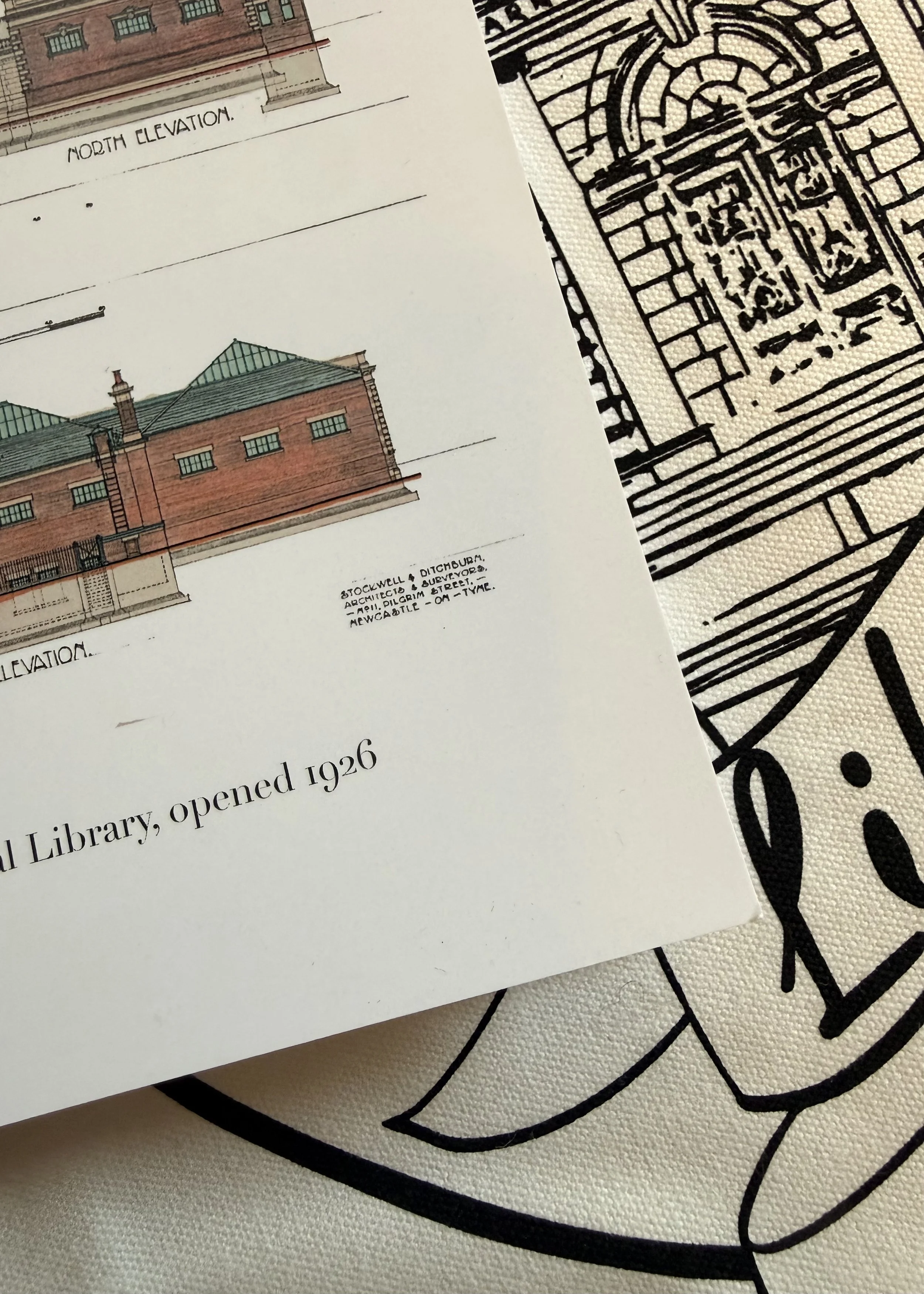 IMG_0206.jpeg
