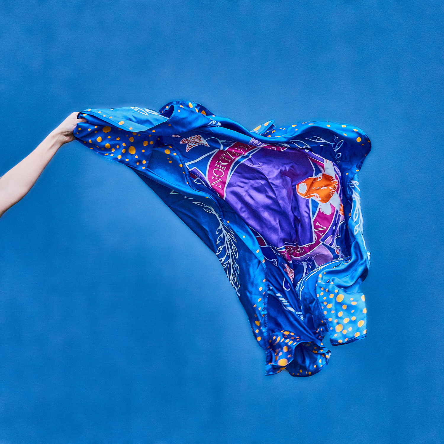 Northumberland crest silk scarf