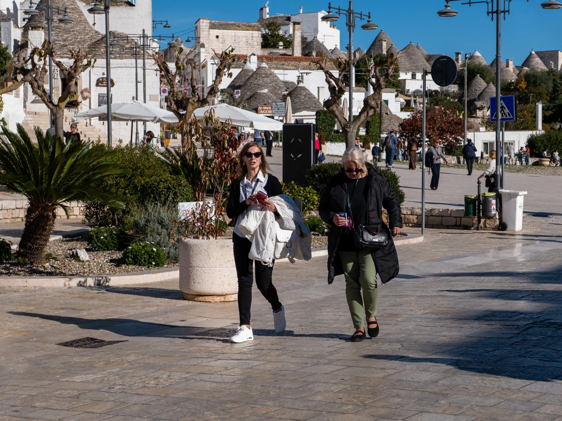 L1014114.jpg