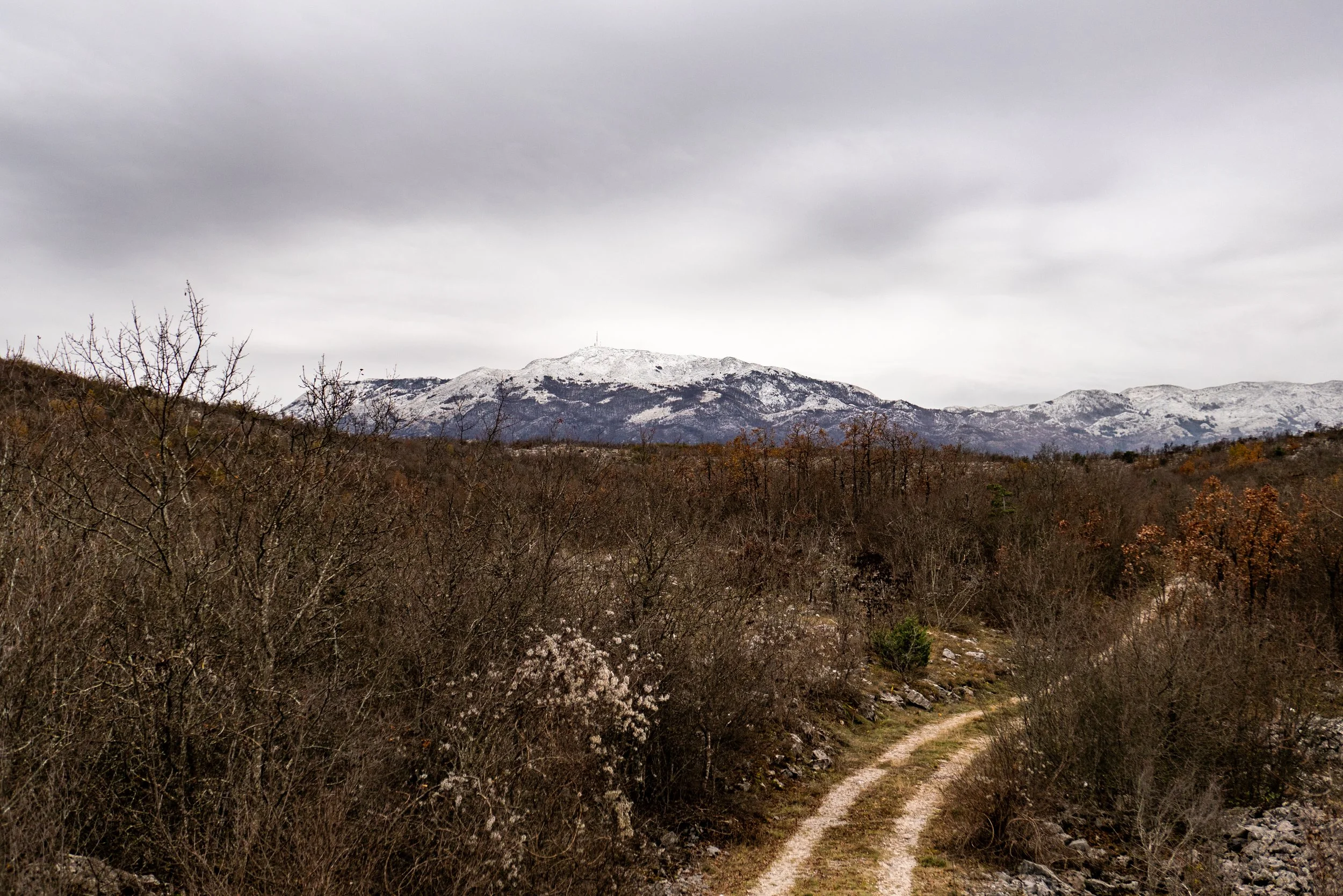 L1014650.jpg