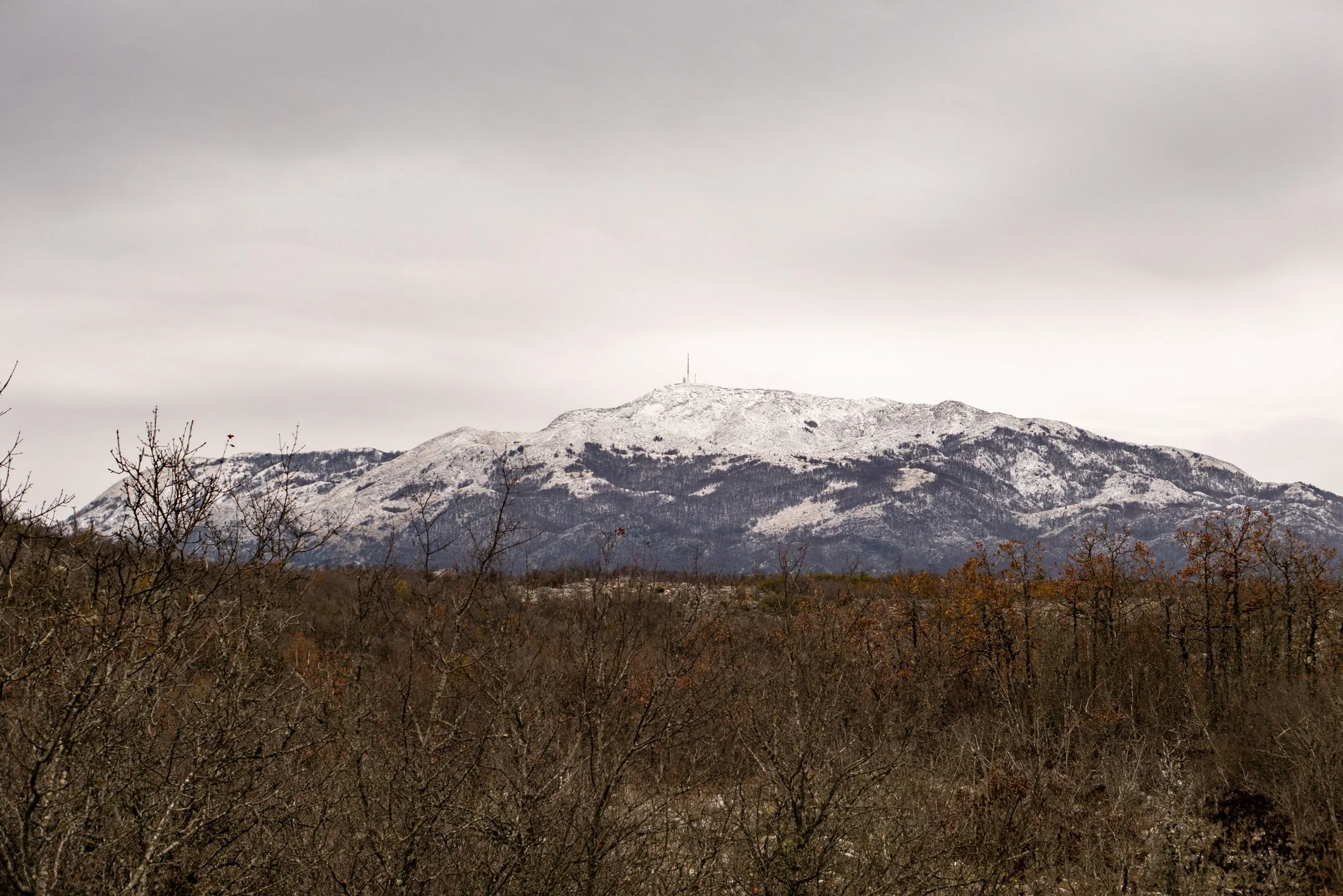 L1014651.jpg