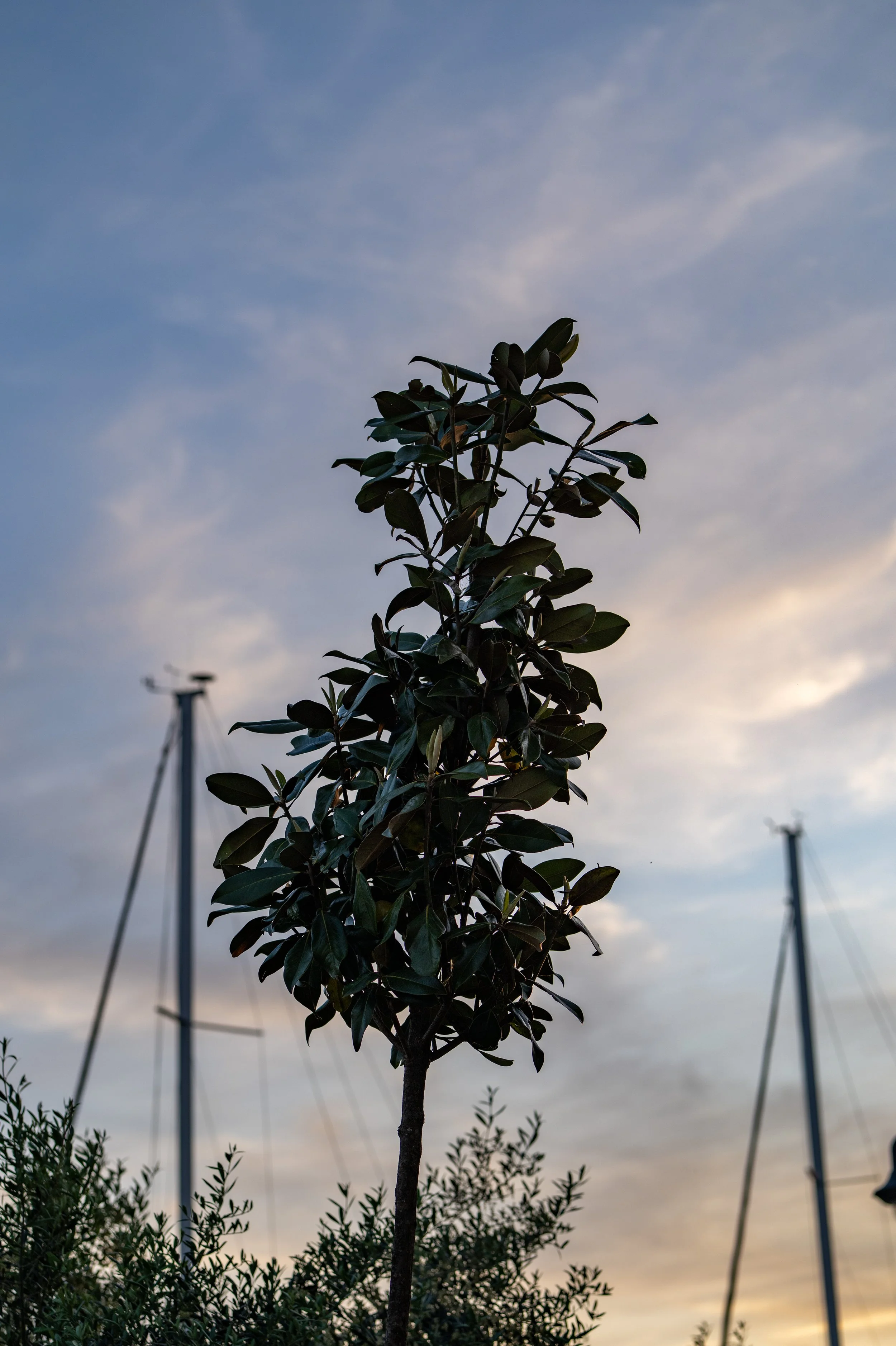 P1036430.jpg