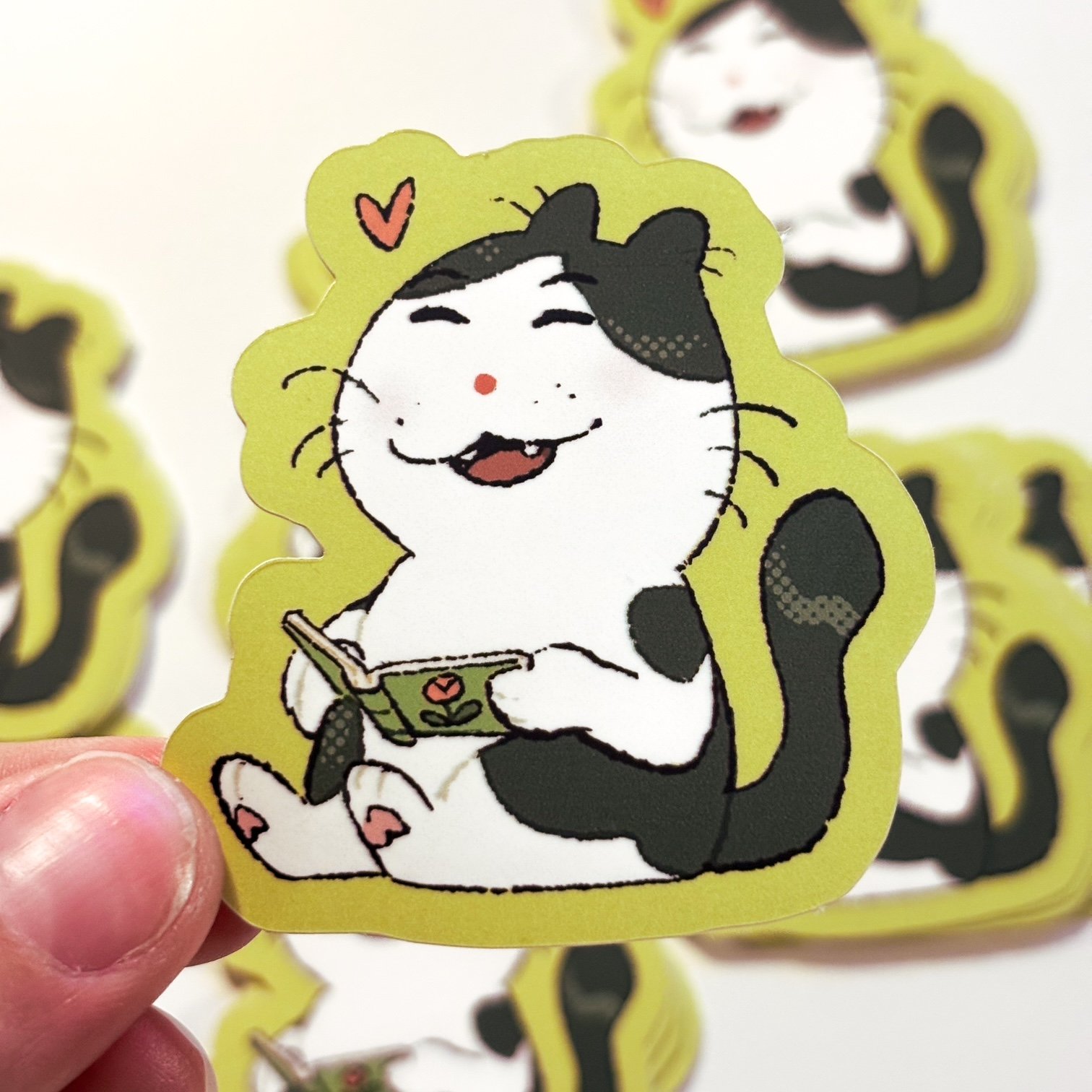 Rubis Reading Sticker