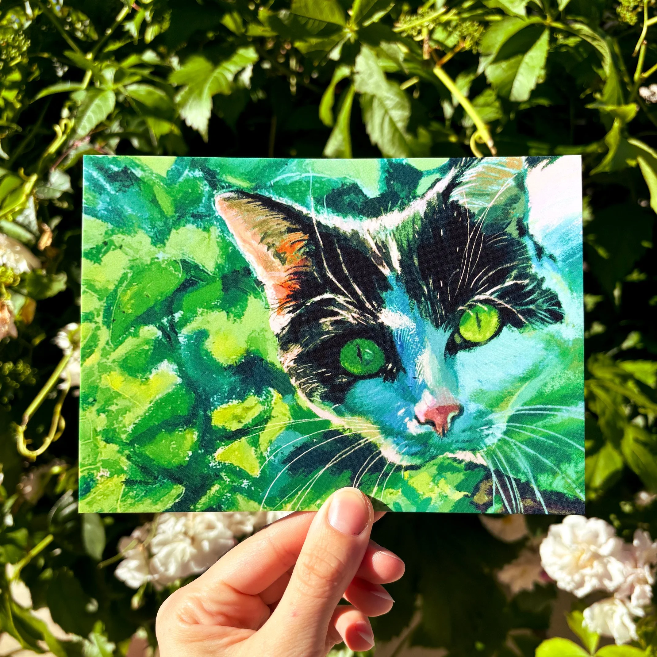 Rubis' Garden Postcard