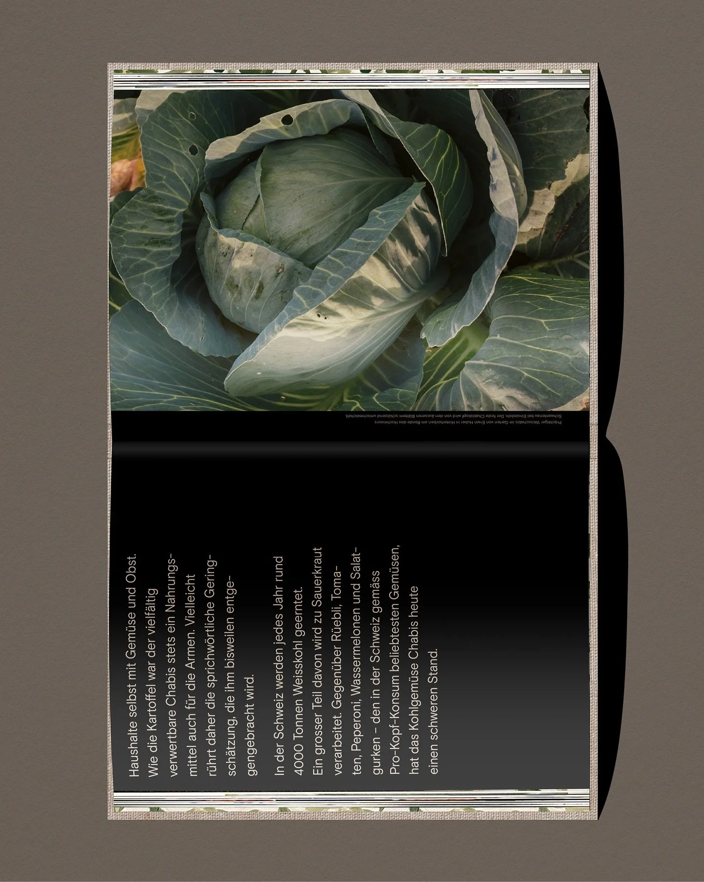 #photograpy #editorialdesign #hafaechabis #editiondecaro #2023