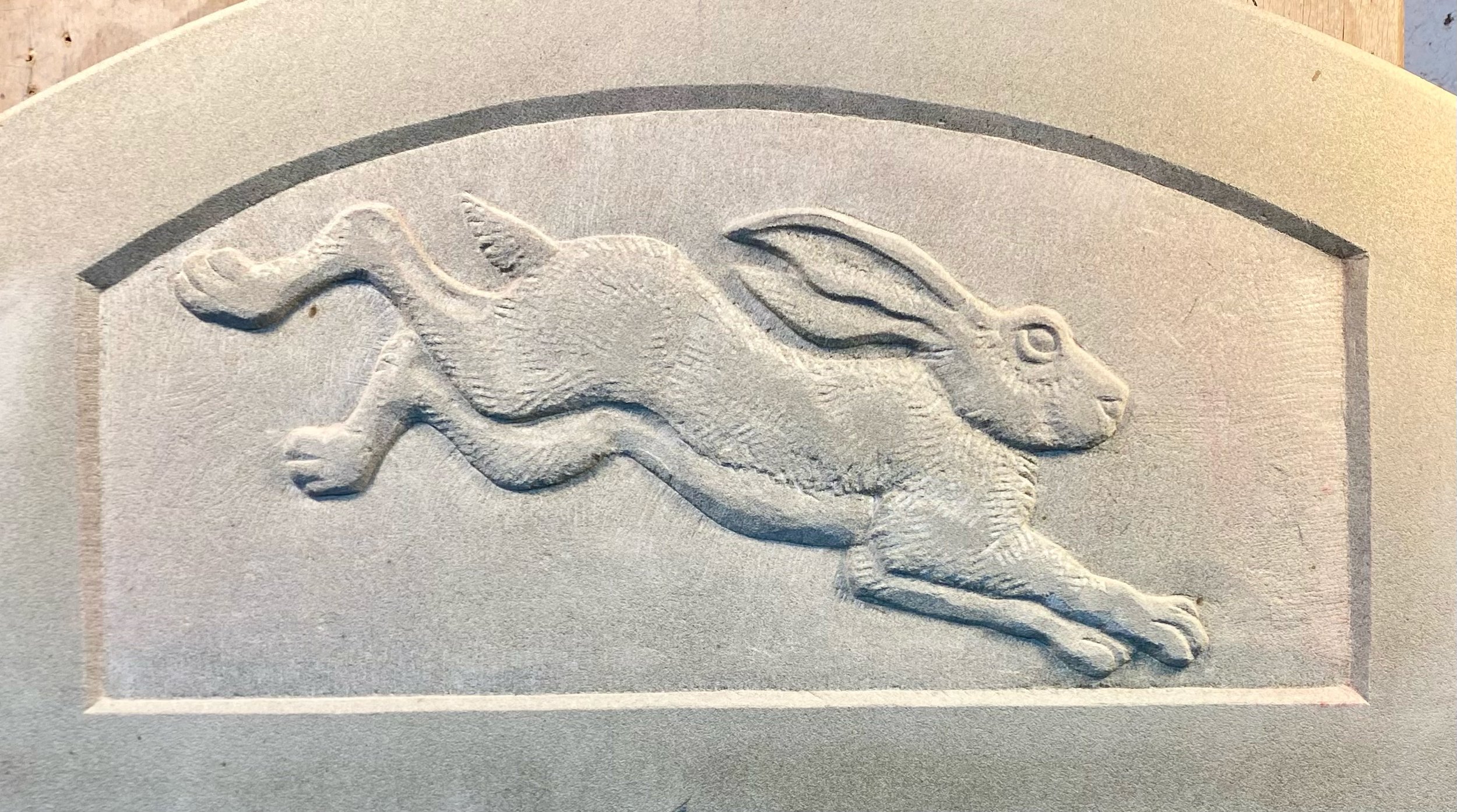 Hare detail