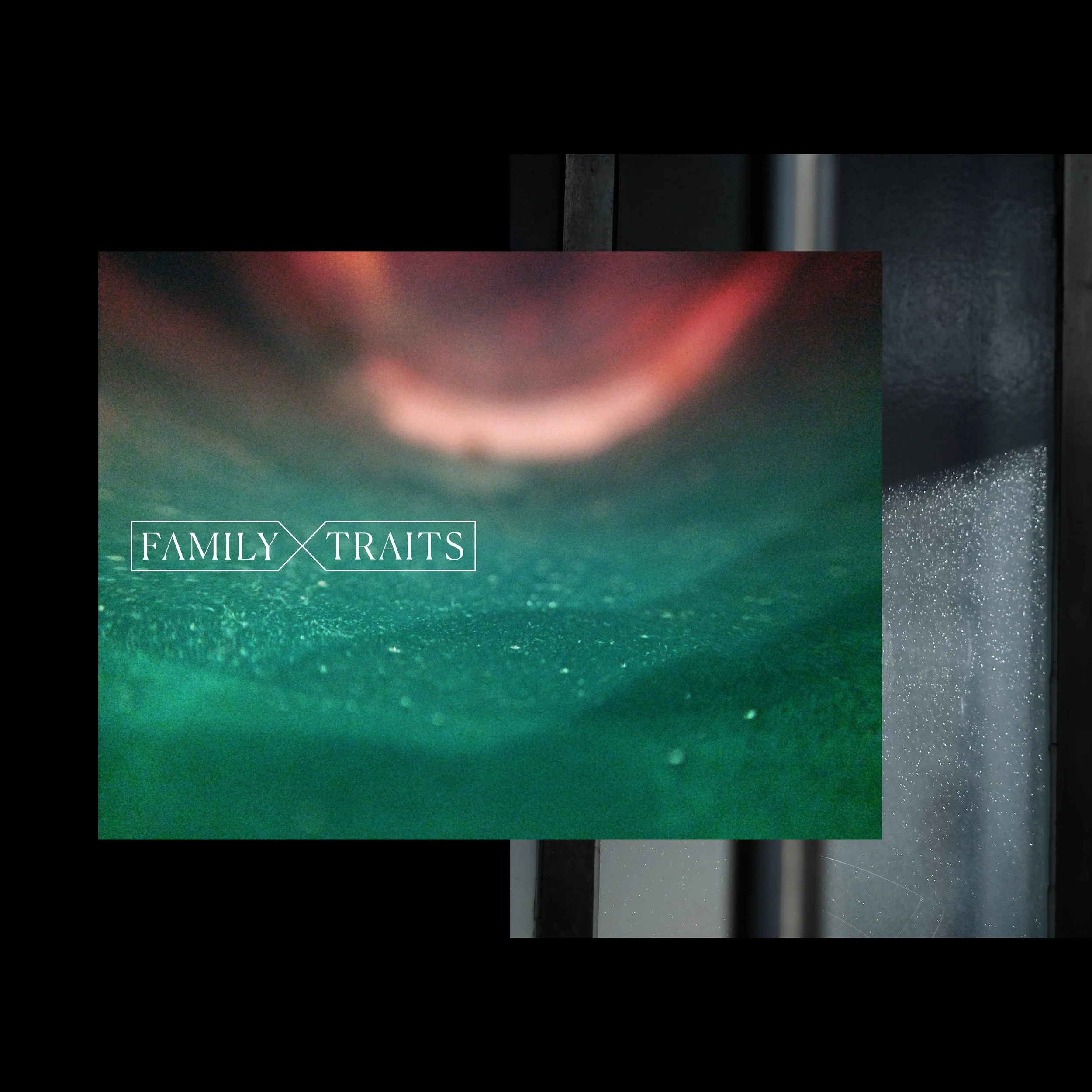 Family Traits: Part 2