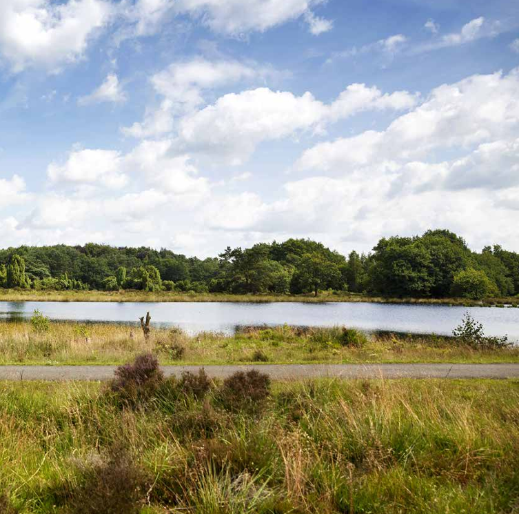 Nationale parken doen je goed: van natuurbeleving tot gezondheidsbeleid