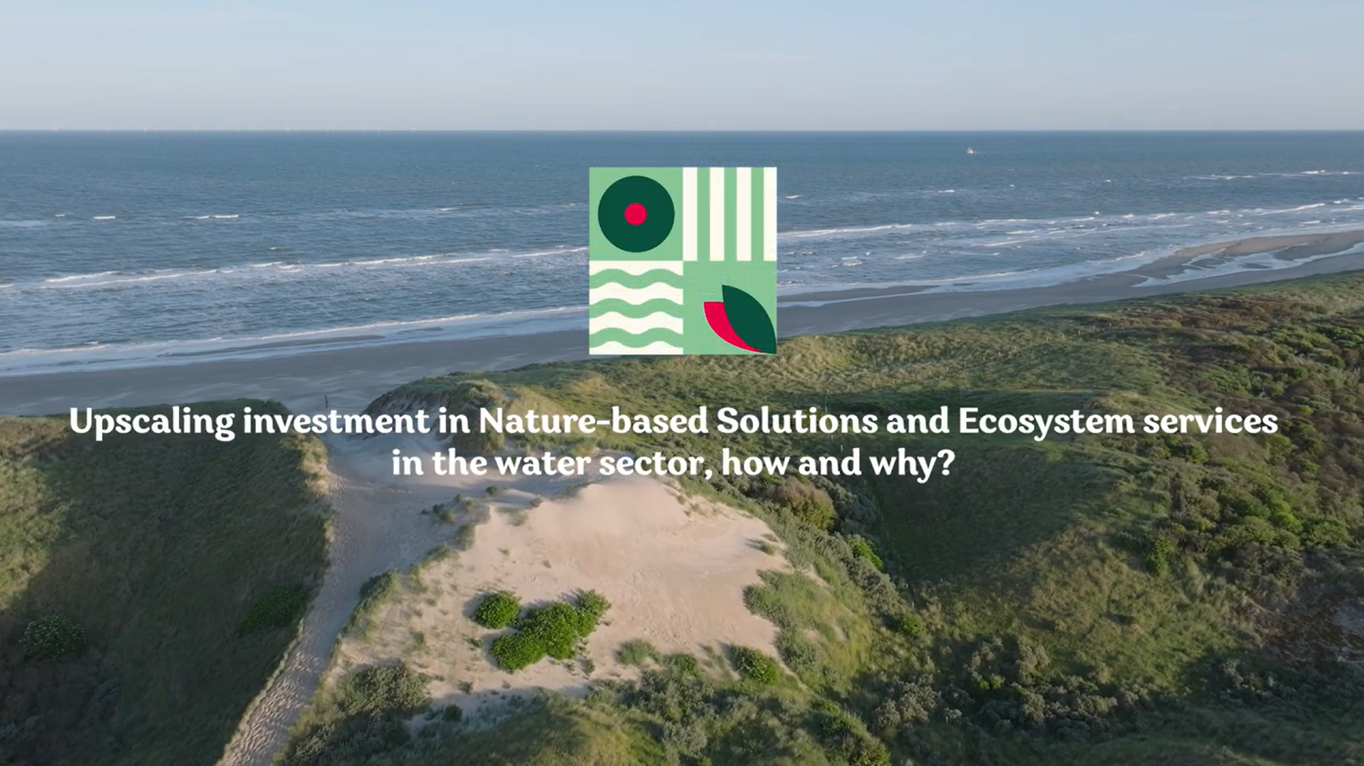 Webinar financiële voordelen van Nature-based Solutions in de watersector