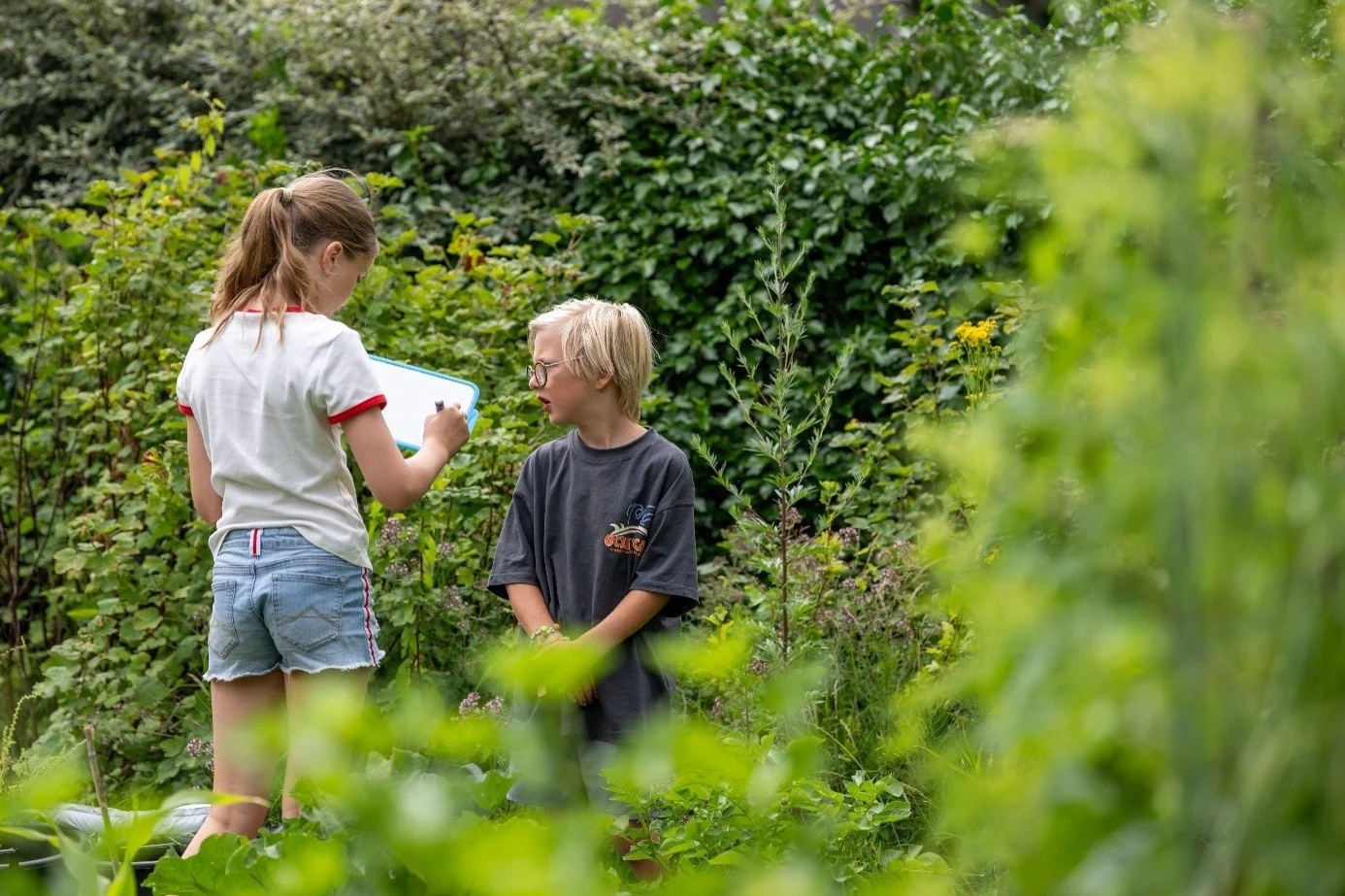 Zomertip: de wandeling als pedagogische ruimte