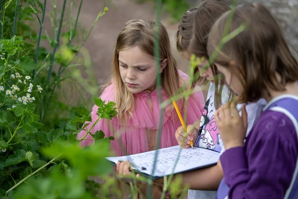 Domeindag Domein Onderwijs