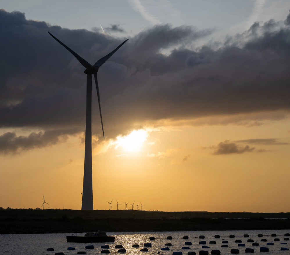 Domeinmiddag Energie Collectief Natuurinclusief