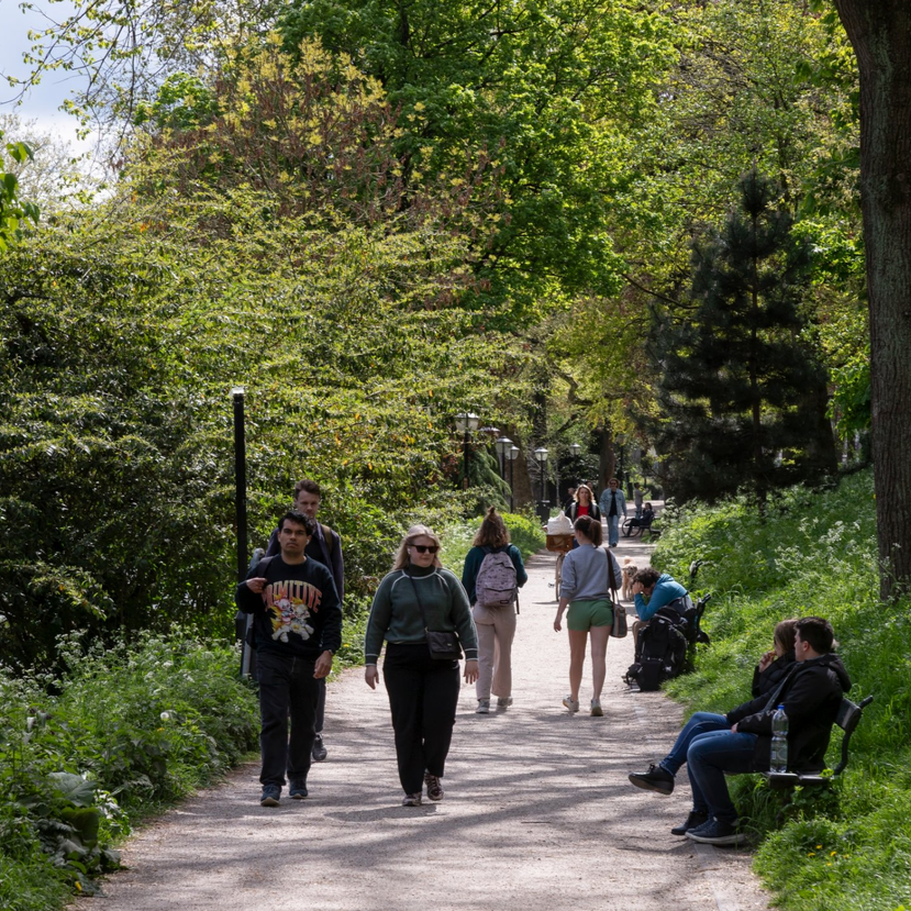 Webinar Basis Kwaliteit Recreatie voor wandelen