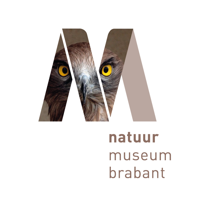 Logo van Natuurmuseum Brabant met afbeelding van een vogel met gele ogen.