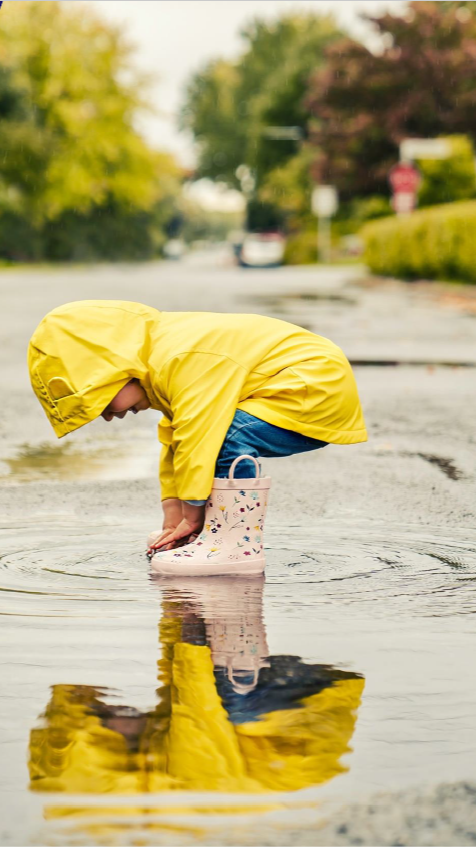 Screenshot van het document