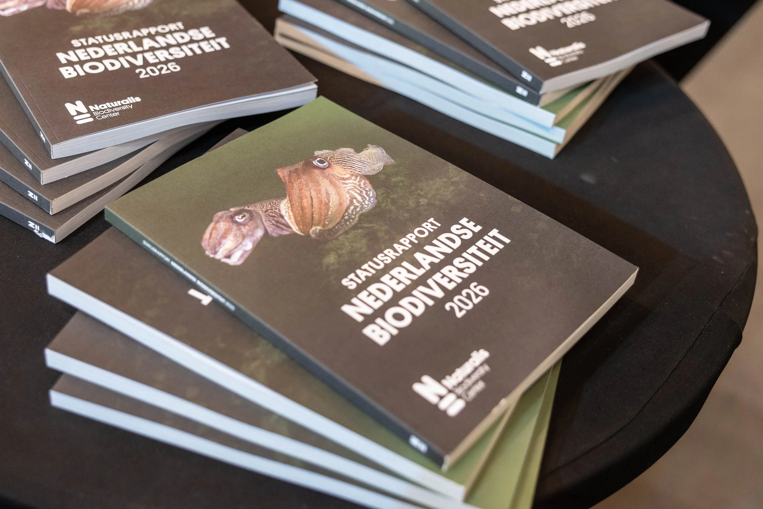 Statusrapport Nederlandse Biodiversiteit 2026 benadrukt belang natuurinclusieve samenleving