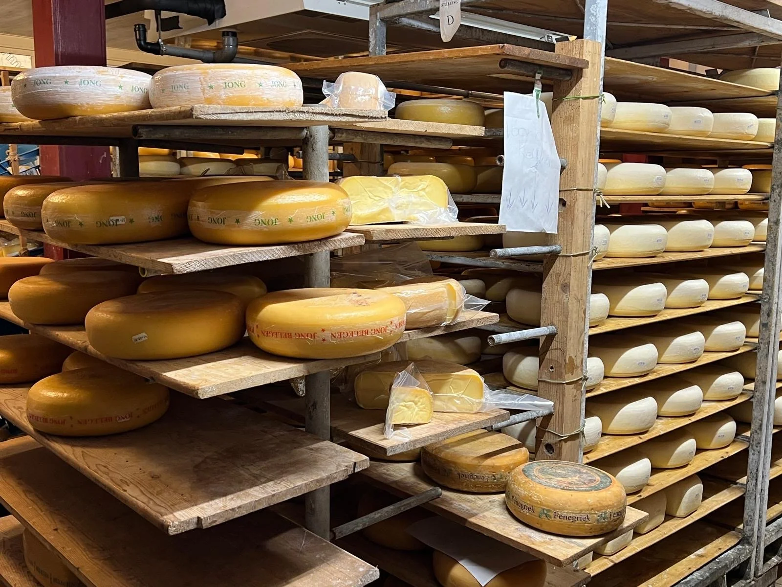 Urtica De Vijfsprong ademruimte.JPG