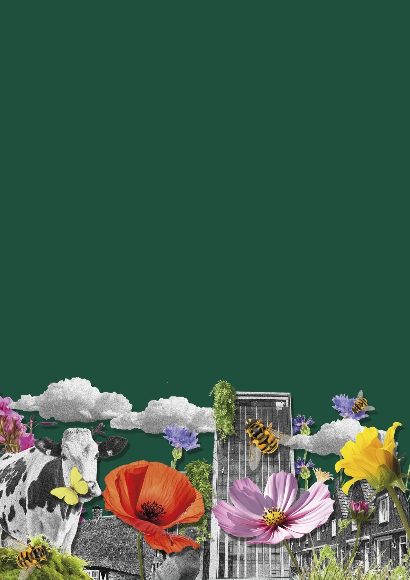 Internationale dag van de Biodiversiteit