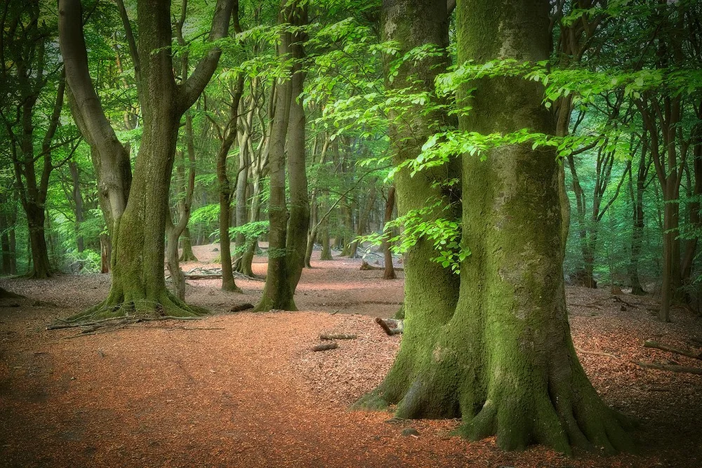 prise de vue sans titre-1159-Modifier copie.jpg