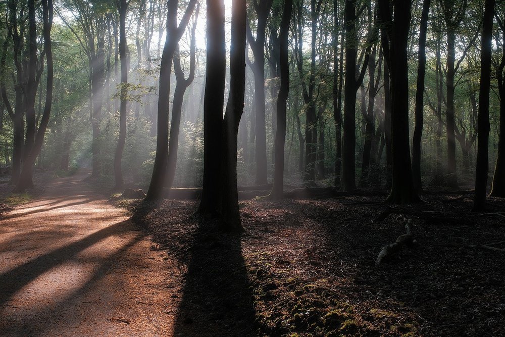 prise de vue sans titre-1004-Modifier copie.jpg