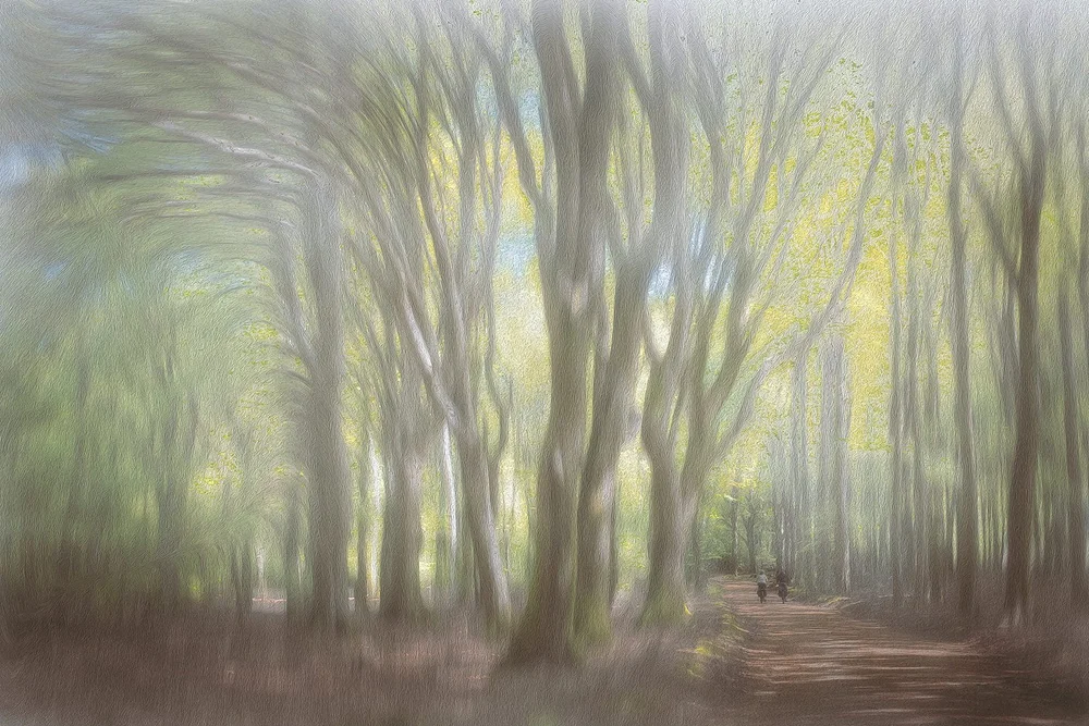 2024_Pascal-Servius-Vibrations copie-2.jpg