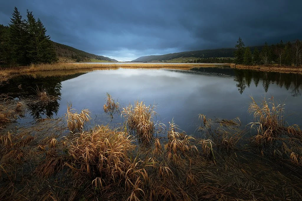 Paysage de lac entouré de forêts et de montagnes sous un ciel nuageux, avec des herbes sèches au premier plan.
