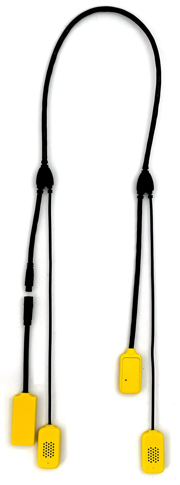 Two small speakers, a radio receiver and detachable battery.