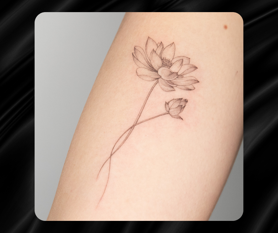 Untitled design (24).png