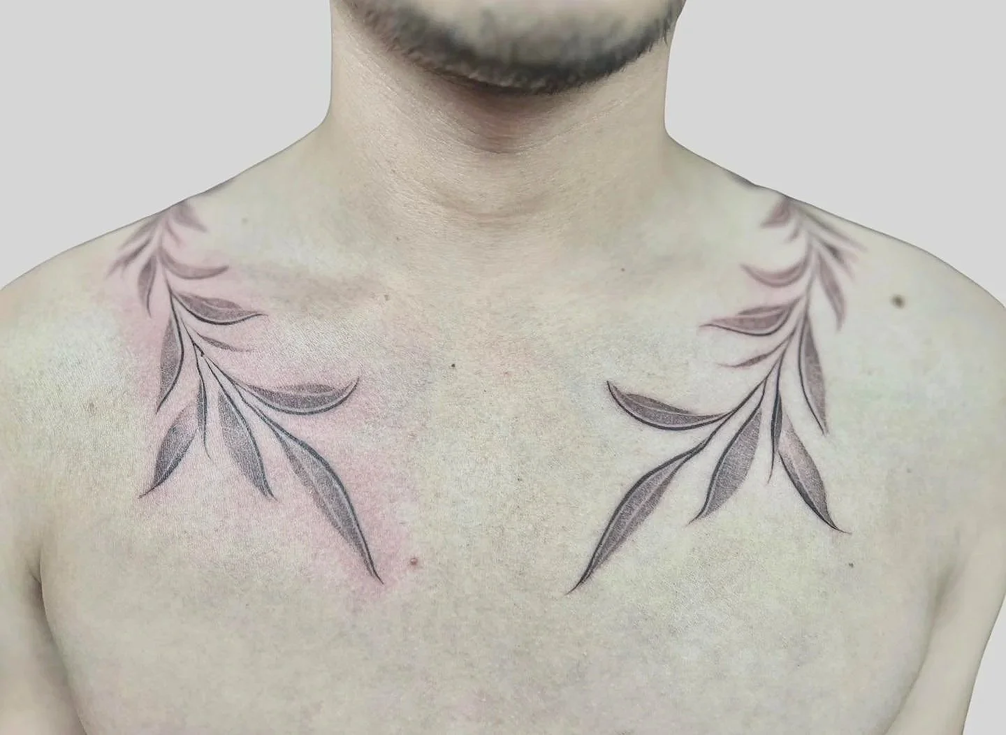 A tattoo of black and gray leaves on a person's shoulders, with the top edge just below the neck.