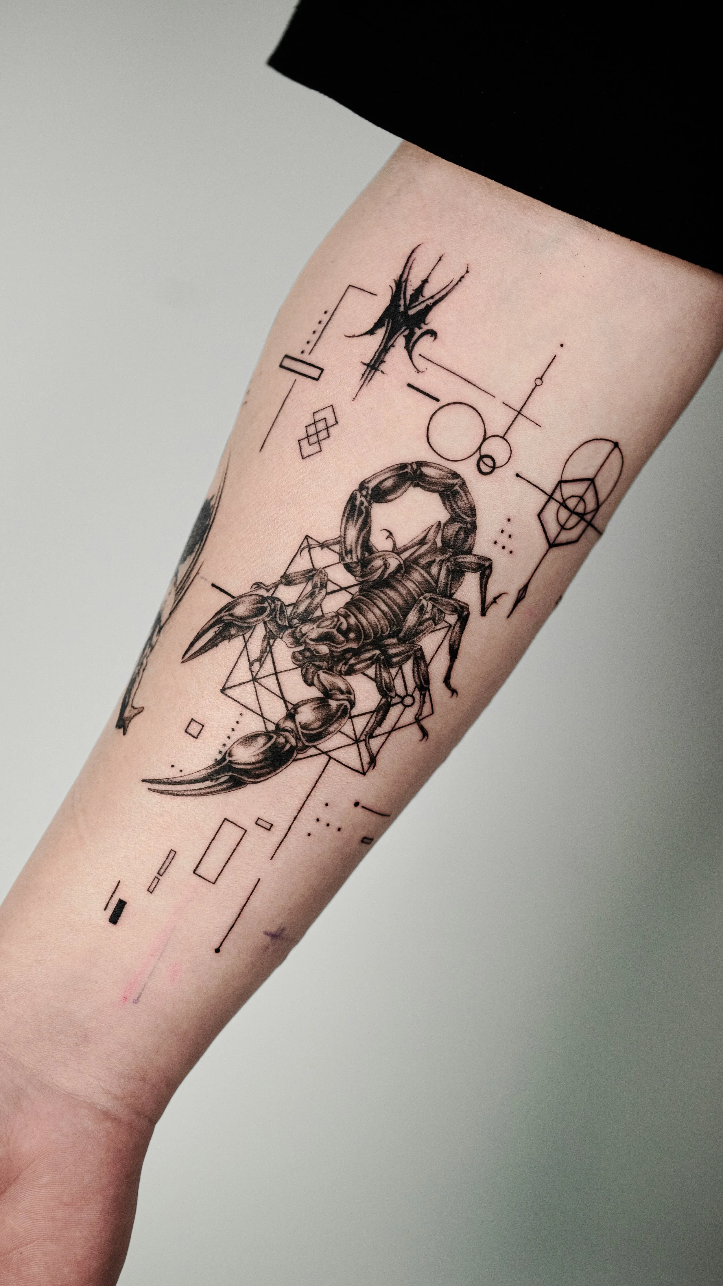 Tattoo of a scorpion with geometric elements and abstract designs on a person's arm.