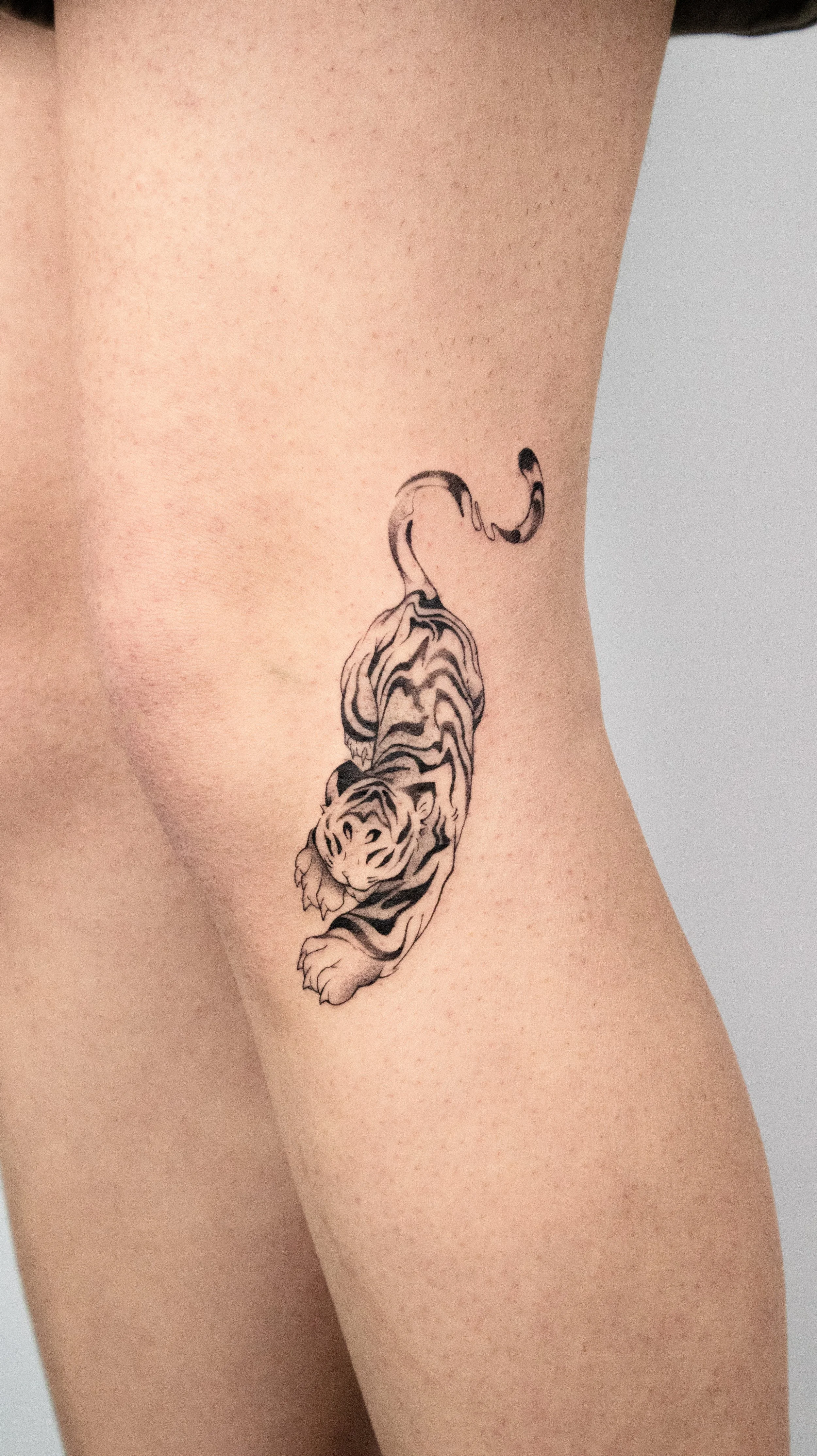 Black ink tattoo of a tiger cub on a person’s thigh or side.