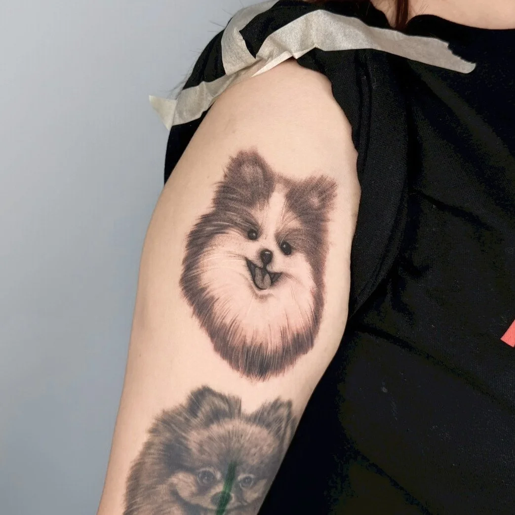 Tattoo of a Pomeranian dog on a person's upper arm, with a smaller dog tattoo below.