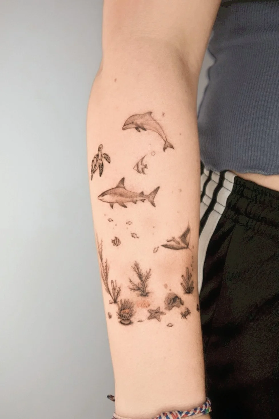 Tattoo of various marine life including dolphins, sharks, sea turtles, starfish, coral, and small fish on a person's forearm.