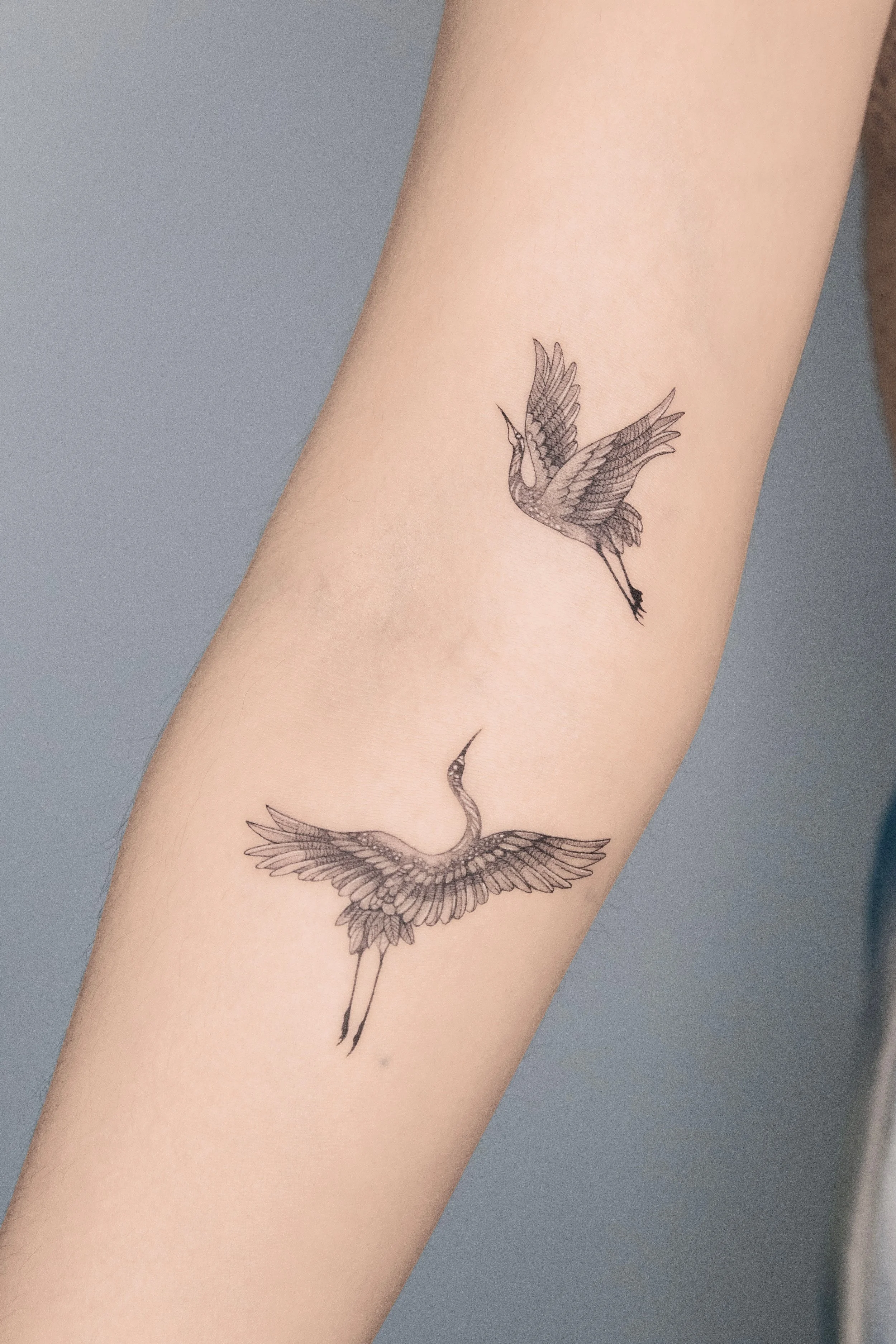 Tattoo of two line-drawn cranes on a person's forearm, with one crane flying above the other.