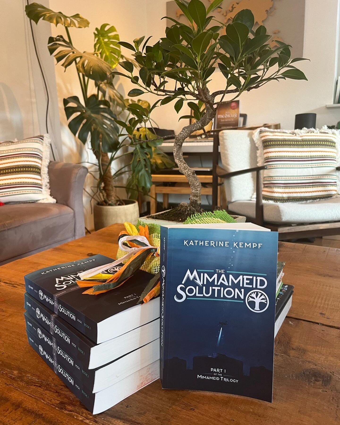 Happy Anniversary to The Mimameid Solution 🔥
.
Here are the numbers:
486 new friends
253 books sold
38 amazon ratings
23 goodreads reviews
4 more WIPs
1 book
.
It&rsquo;s been one year since my debut was sent out into the universe and I became a pub