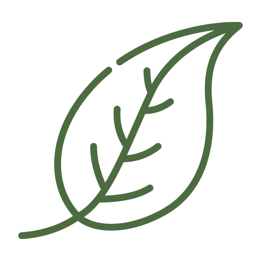 Outline of a human brain in green with a black background.
