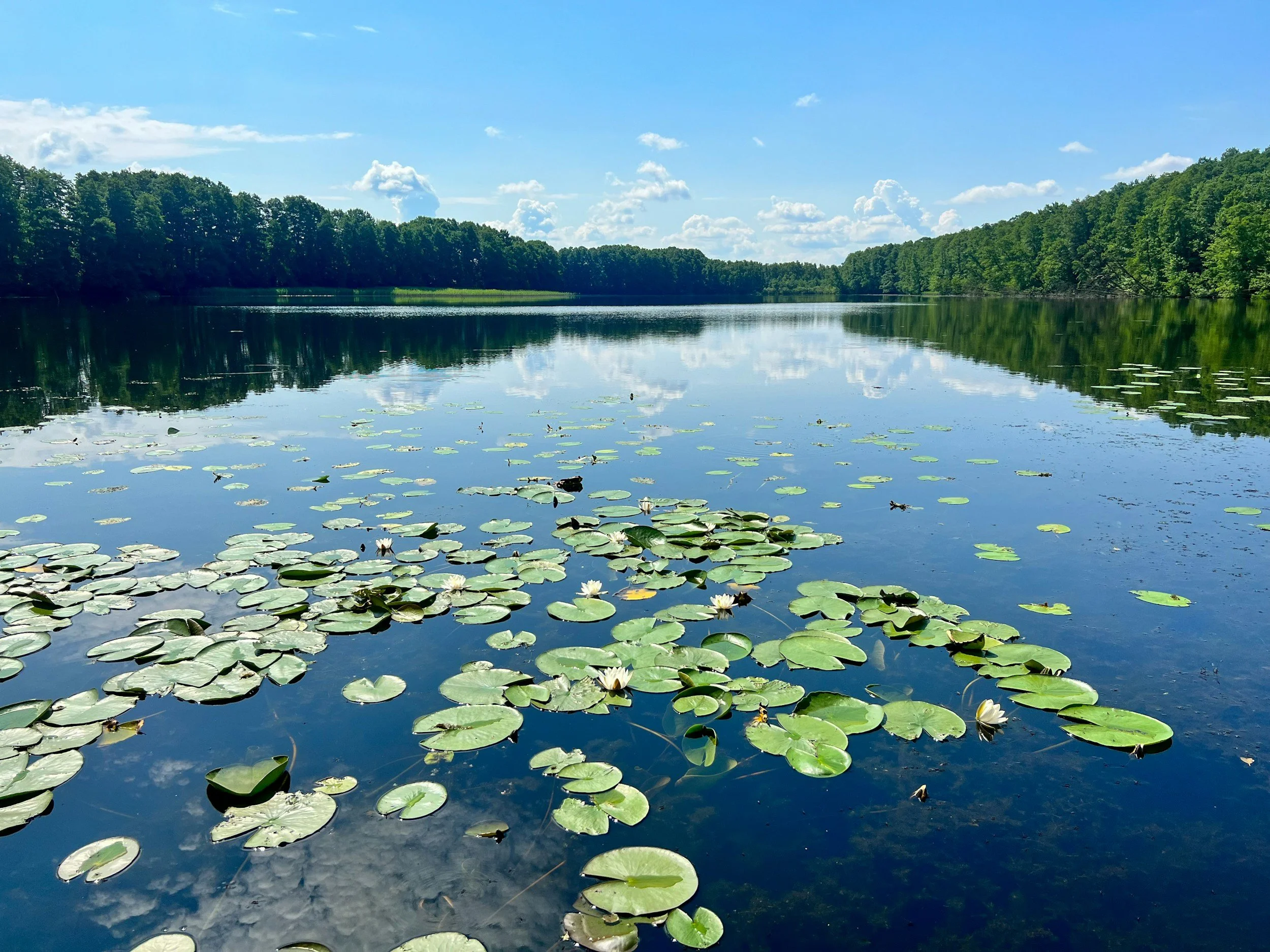 Persoană meditând în natură, într-un moment de liniște și prezență