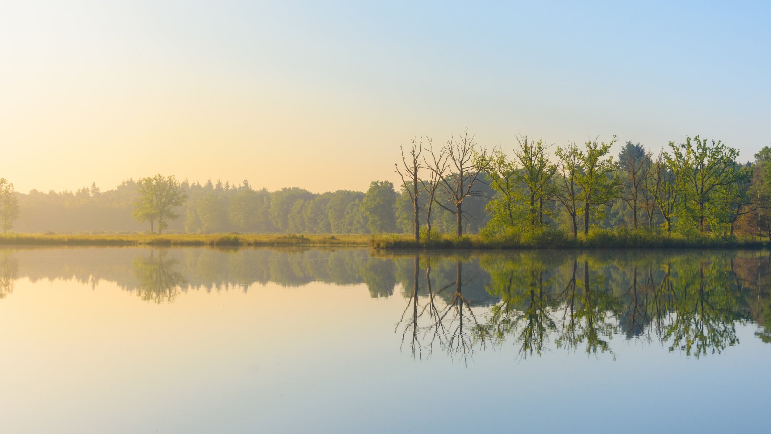 Calm lake reflecting a line of trees along the shoreline on a clear day.