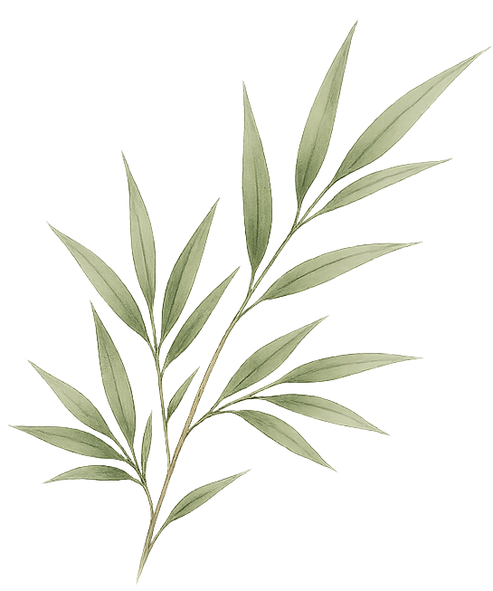 A branch with elongated green leaves against a dark background.