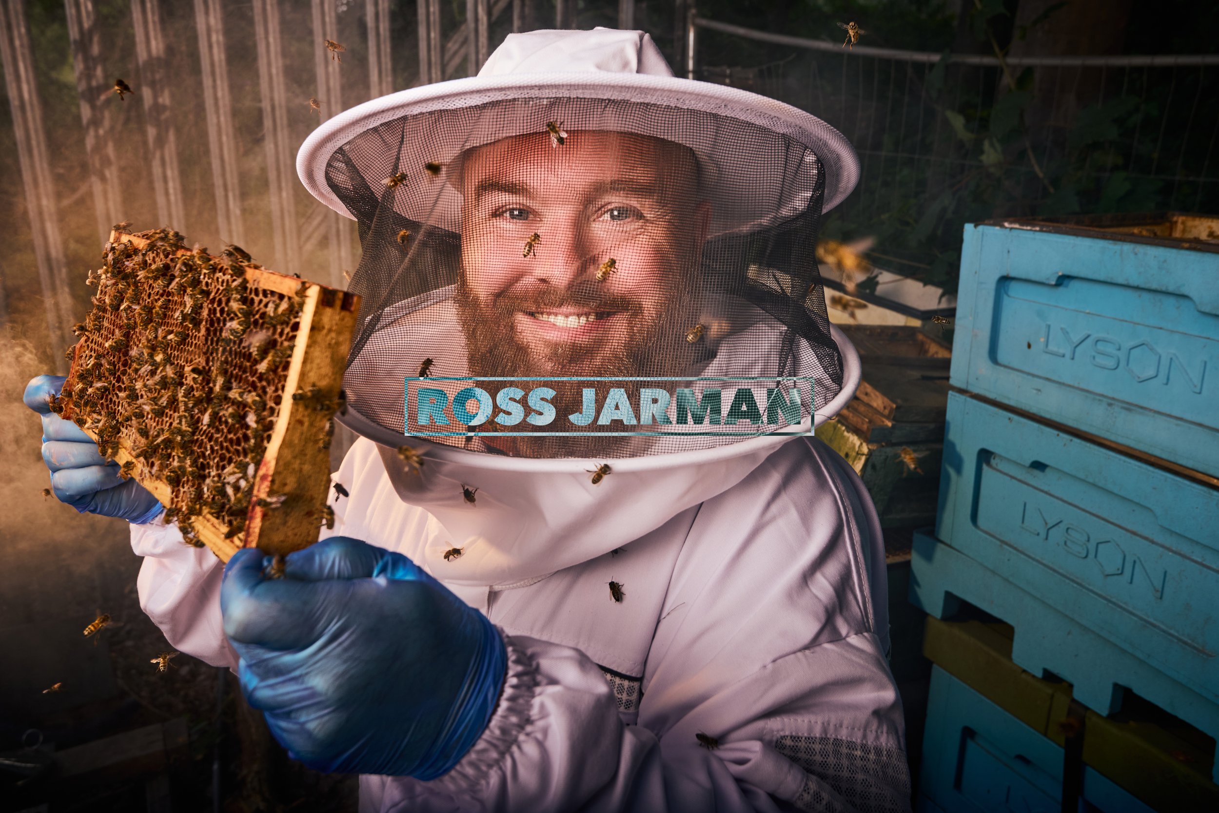 More Bees Please Logo.jpg
