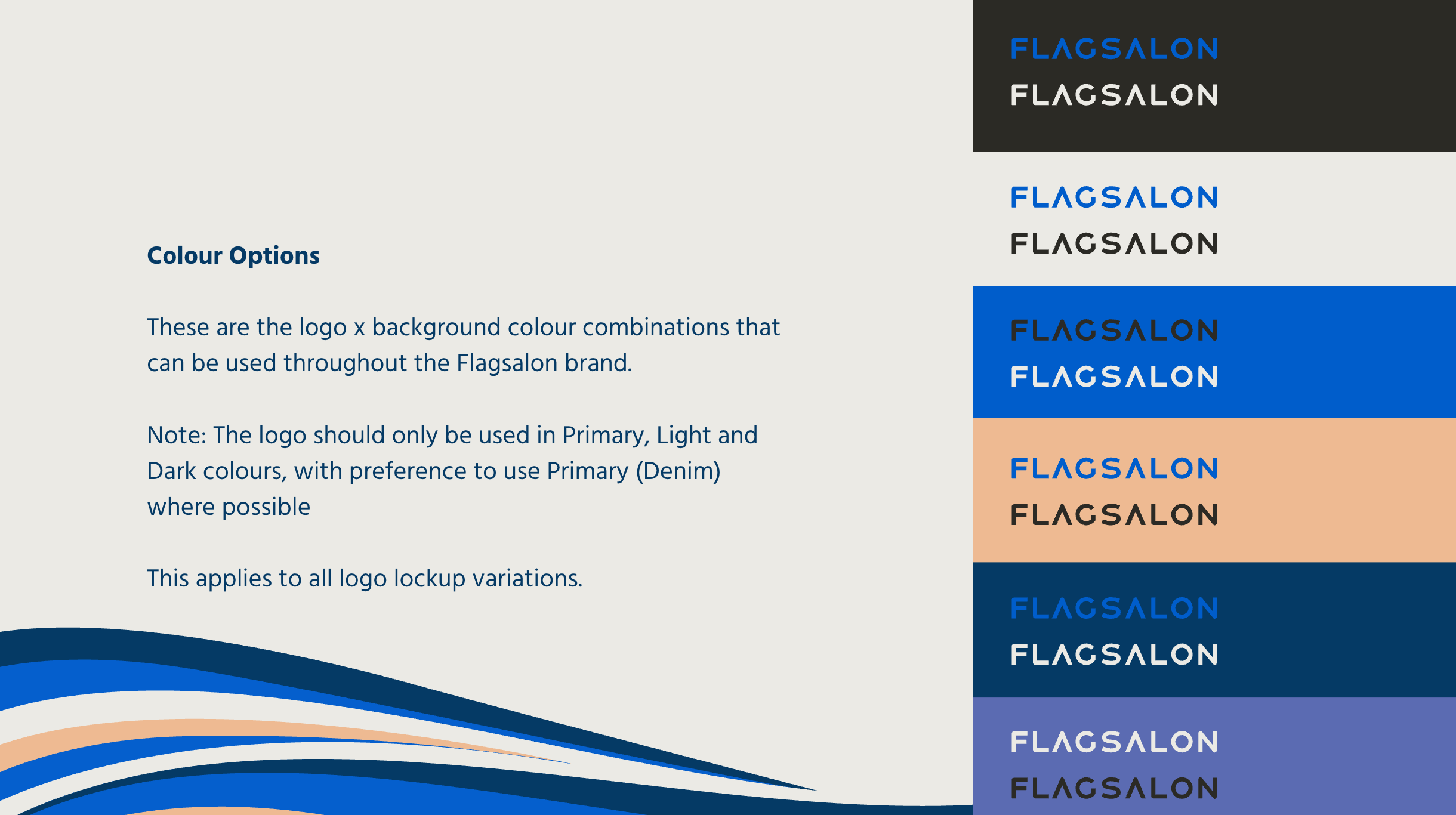 A slide deck screenshot of the FlagSalon colour options and variations.